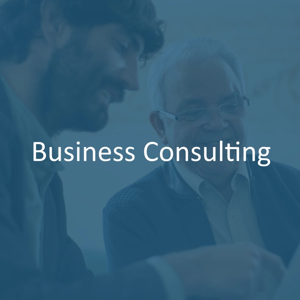 Primpel-Business Consulting